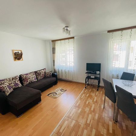 Garsoniera Family Apartment Busteni Exterior photo