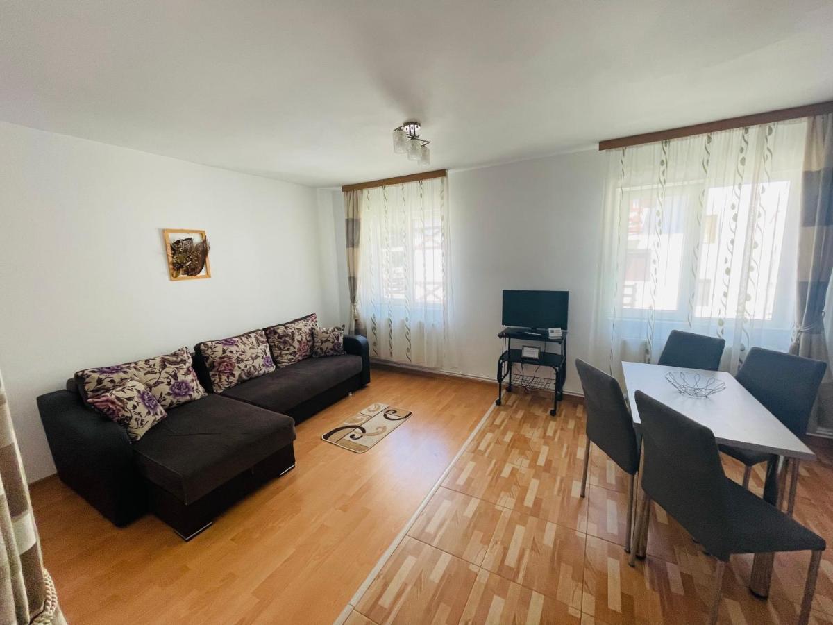 Garsoniera Family Apartment Busteni Exterior photo