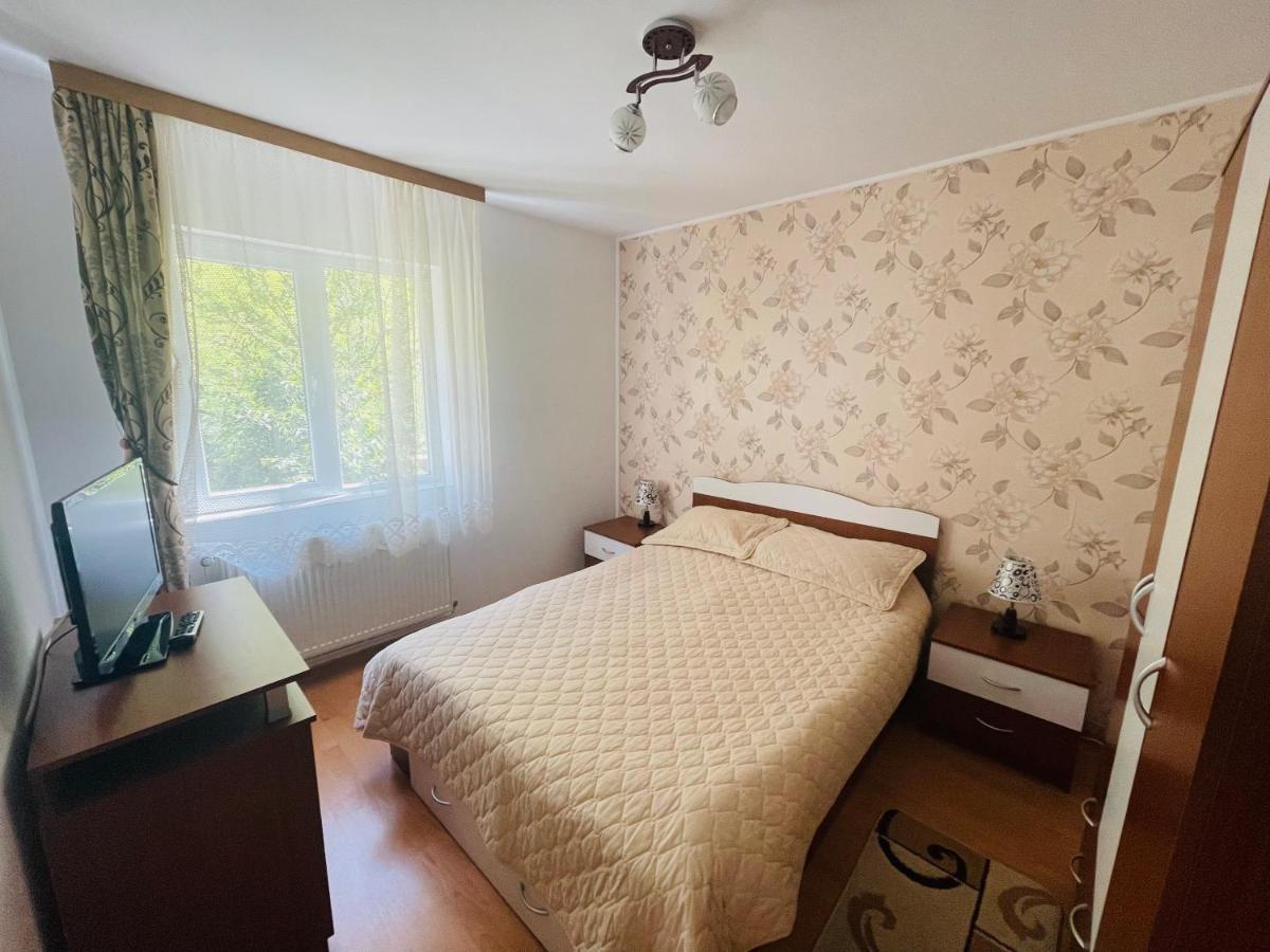 Garsoniera Family Apartment Busteni Exterior photo