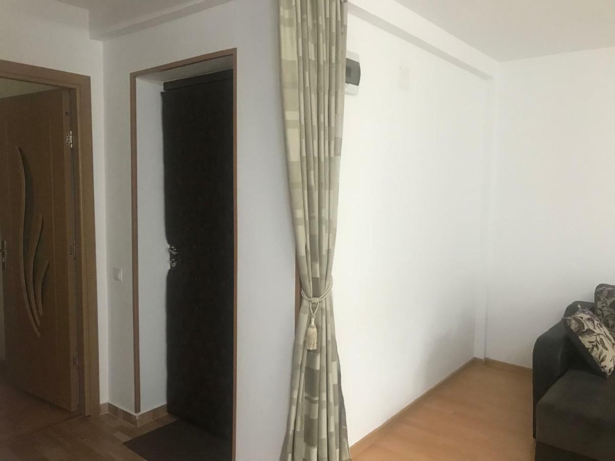 Garsoniera Family Apartment Busteni Exterior photo
