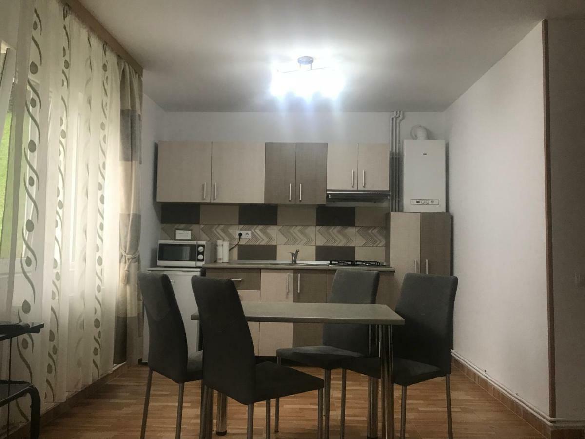 Garsoniera Family Apartment Busteni Exterior photo
